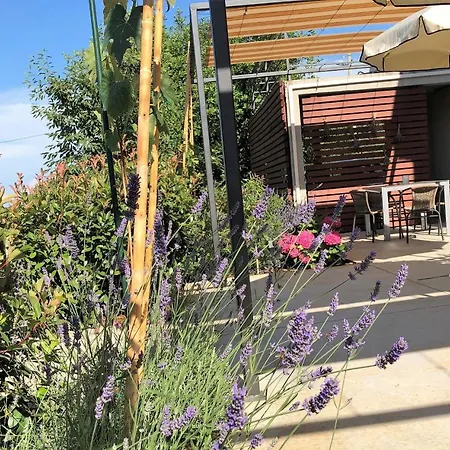 Pretty Little Thing Called Teranino Apartment Pula