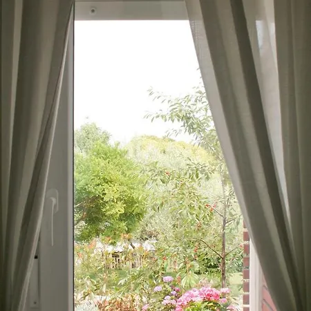 Pretty Little Thing Called Teranino * Pola