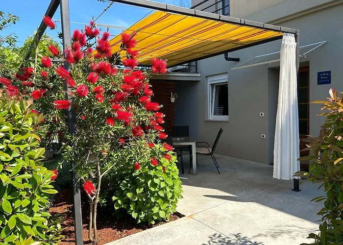 Pretty Little Thing Called Teranino